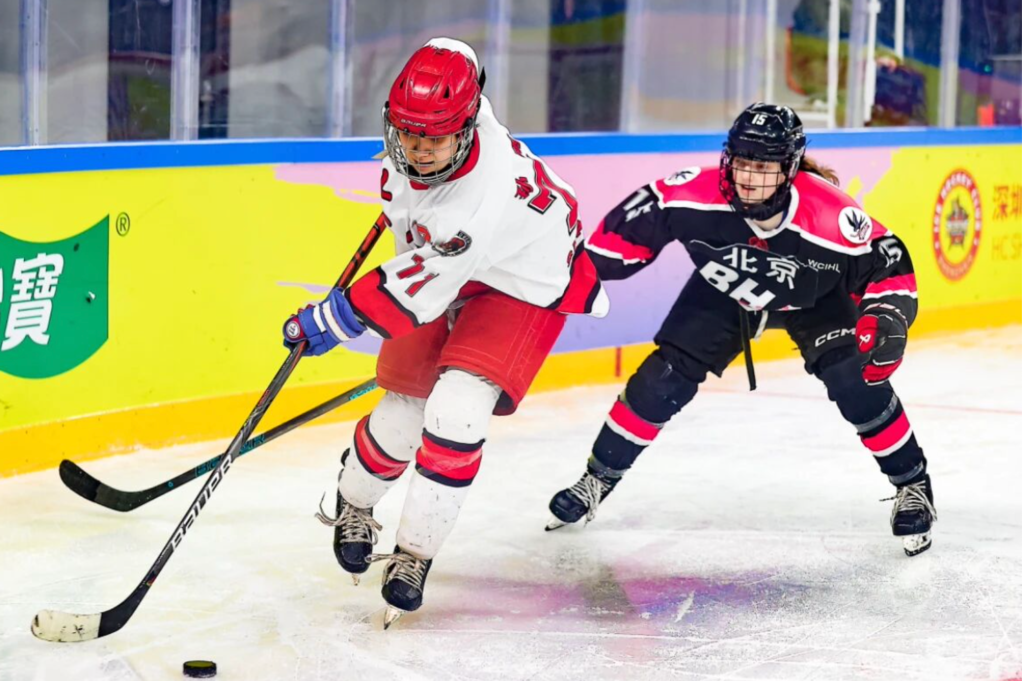 entit, 河北省 entit, 河北省