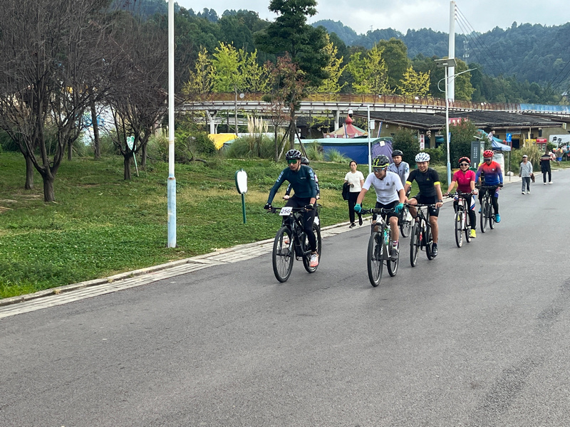 运动健身 运动健身